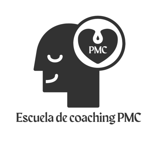 escuelapmc.com